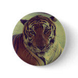 Orange Tiger buttons