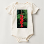 gamboge, vermilion, flowers, perennials, closeup,