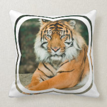 Orange Tiger Pillow