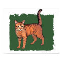 Orange 'Tiger' Tabby Cat posters