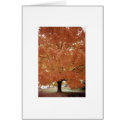 Orange tree cards by artmidwife Orange tree cards