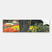 Orange Tree cluster flowers Bumper Sticker