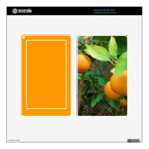 Orange Tree Decal For Kindle Fire