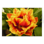 Orange Tulip Card