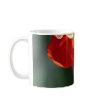 Orange Tulip Closeup Coffee Mug