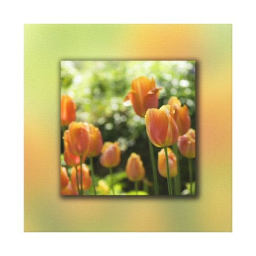 Orange Tulip Flowers Canvas Print