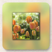 Orange Tulip Flowers Coaster