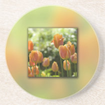 Orange Tulip Flowers Drink Coaster