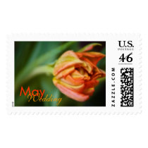 Orange Tulip • May Wedding Stamp