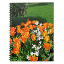 Orange Tulip On Multiple Products Note Book