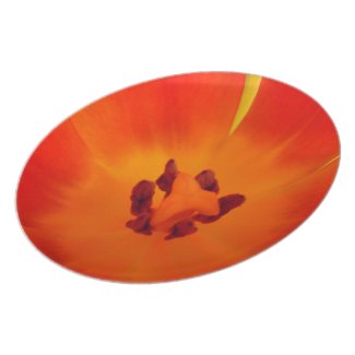 Orange Tulip Plate fuji_plate