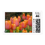 orange tulip postage