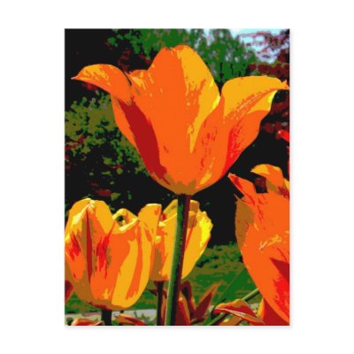 Orange tulip postcard by Elaine21