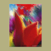 Orange Tulip postcards