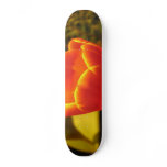 Orange Tulip Skateboard