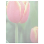 Orange Tulip study flowers Custom Letterhead