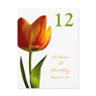Orange Tulip Table Number Card postcard