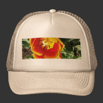 Orange Tulip hats