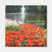 Orange tulips and fountain magnets