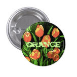 Orange tulips pinback buttons
