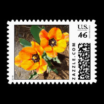 Orange Tulips postage by alyciakeating Orange Tulips postage