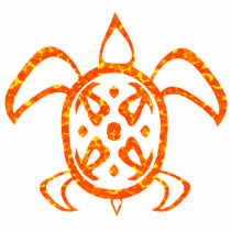 Orange Turtle 2-Sided Kids' Shirts