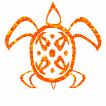 Orange Turtle 2-Sided Shirts