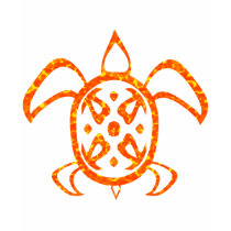 Orange Turtle Kids' Dark Shirts