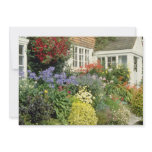 Orange View Of House And Porch With Border - Catmi Announcement