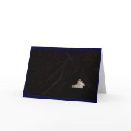 Orange & White moth against dark background card