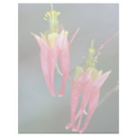 Orange Wild columbine, Quebec, Canada. flowers Personalized Letterhead