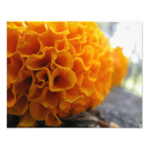 Orange World Photographic Print