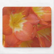 Orange & Yellow Flowers at Longwood Gardens, PA mousepad