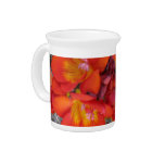 orange yellow red freesias pitchers