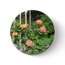 Orange/Yellow Rose Bush buttons by chasingthegnome Orange/Yellow Rose Bush buttons