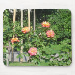 Orange/Yellow Rose Bush Mouse Mats