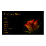 Orange & Yellow Rose Business Card business cards