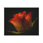 Orange & Yellow Rose Canvas Gallery Wrapped Canvas