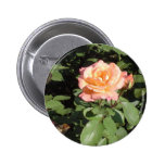 Orange & Yellow Rose Pinback Button