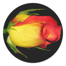 Orange-Yellow Rose stickers by princessklb07 Orange-Yellow Rose stickers