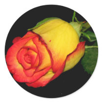 Orange-Yellow Rose stickers by princessklb07 Orange-Yellow Rose stickers