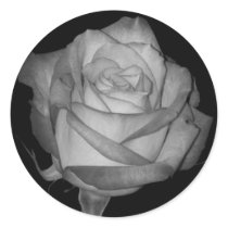 Orange-Yellow Rose stickers by princessklb07 Orange-Yellow Rose stickers