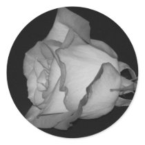 Orange-Yellow Rose stickers by princessklb07 Orange-Yellow Rose stickers