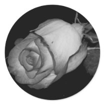 Orange-Yellow Rose stickers by princessklb07 Orange-Yellow Rose stickers