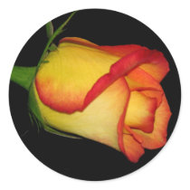 Orange-Yellow Rose stickers by princessklb07 Orange-Yellow Rose stickers
