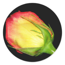 Orange-Yellow Rose stickers by princessklb07 Orange-Yellow Rose stickers