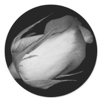 Orange-Yellow Rose stickers by princessklb07 Orange-Yellow Rose stickers