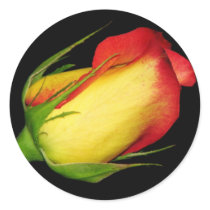 Orange-Yellow Rose stickers by princessklb07 Orange-Yellow Rose stickers
