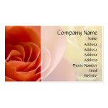 Orange & Yellow Roses business cards
