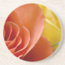 Orange & Yellow Roses Drink Coasters